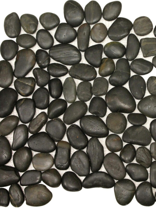 Bryson Polished Pebble_TILE MOSAICS PEBBLES SSK-2037 regiontile.com